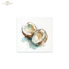 conjunto de papeles de arroz RSM267